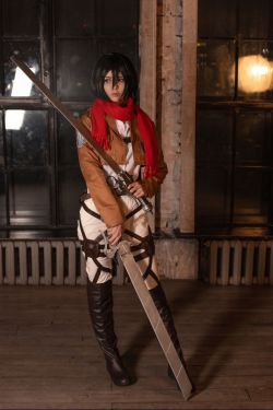 Vinnegal - Mikasa(20P)-图控