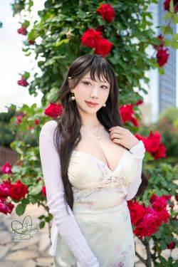 Hane Ame 雨波 写真 – 玫瑰刚好绽放(11P)-图控