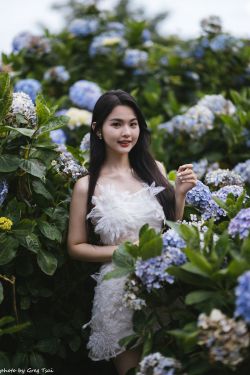 米浆 – 绣球花(126P)-图控